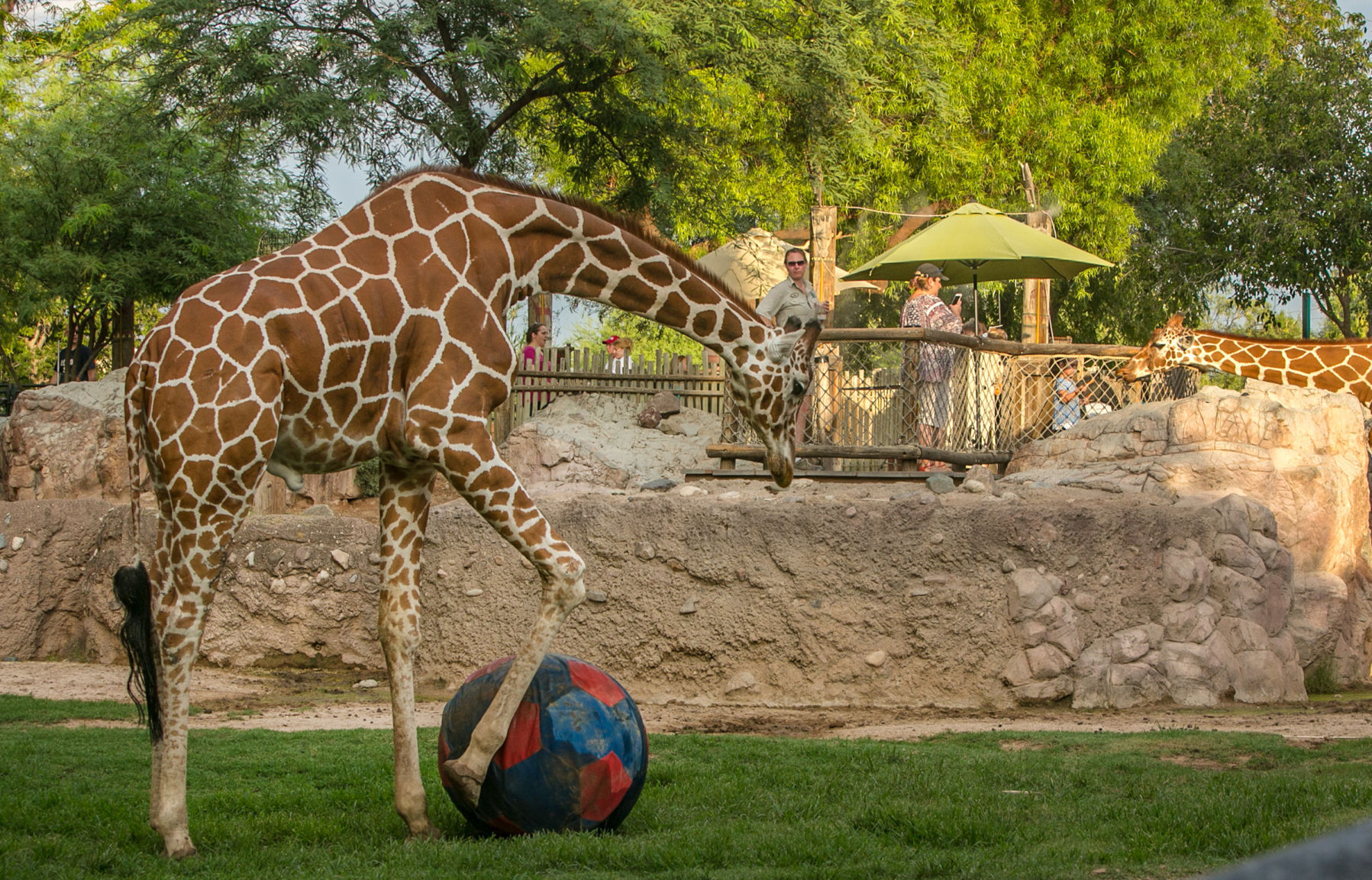 Reid Park Zoo